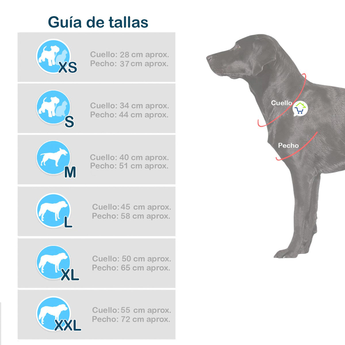 Disfraz Para Mascotas De Pirata GD01PIR